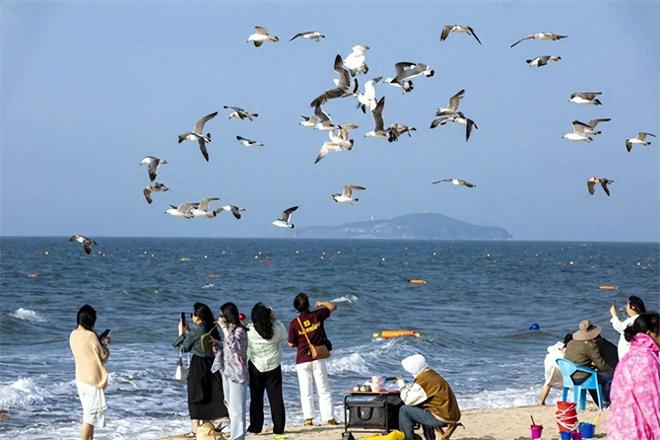 玩转夏日！2024威海荣成那香海旅游度假攻略之“玩遍那香海”(图1)