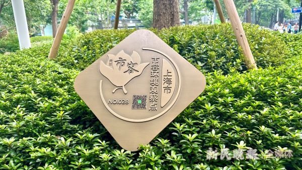 上海：已建709个“美丽街区”将邀市民共同参与市容管理(图8)