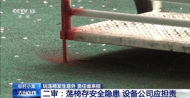 儿童玩荡椅意外身亡责任谁来担？(图10)