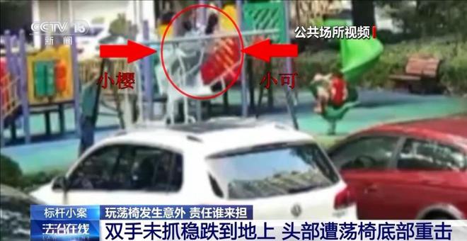 儿童玩荡椅意外身亡责任谁来担？(图2)